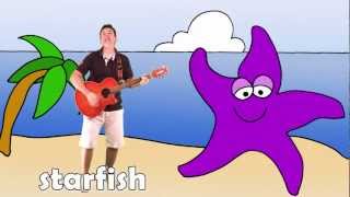 Let's Go To The Beach | Learn Sea Animals Resimi