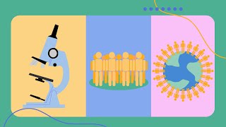 Biology Module 7 Infectious Disease
