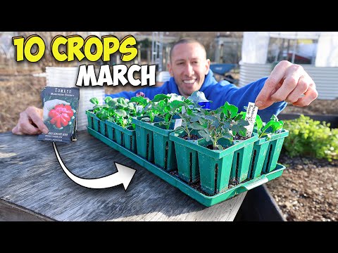 10 Crops you'd be Foolish Not to Plant in March