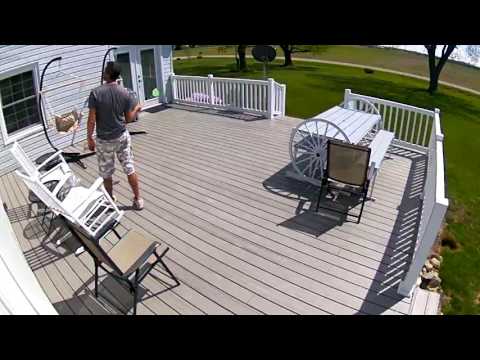 Bumblebee attack beginning