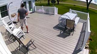 Bumblebee attack beginning