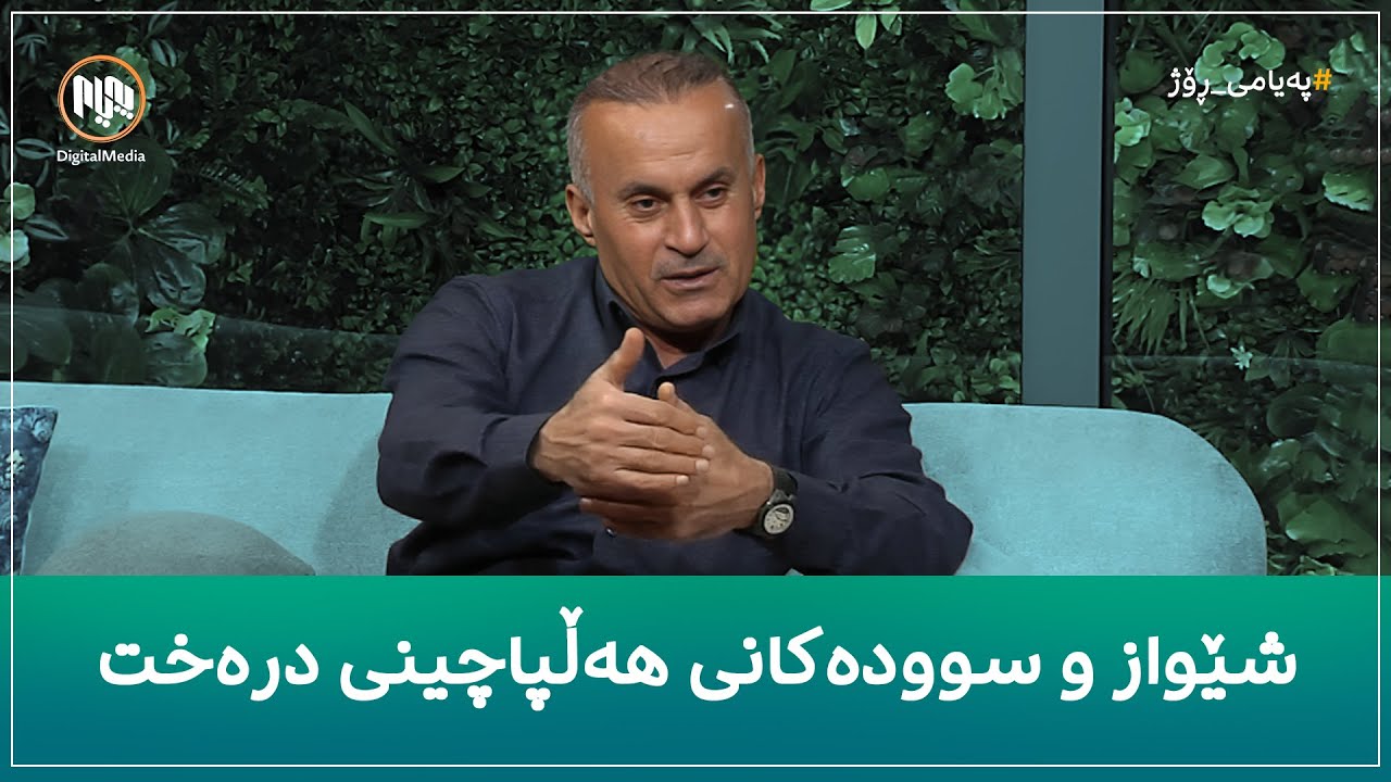 پسپۆڕێک شێواز و سوودەکانی هەڵپاچینی درەخت شیدەکاتەوە