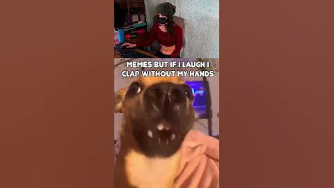 if I laugh I clap my pt rev #memes #shorts