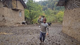Nomadic animal husbandry, living in the heart of nature, making cheese from milk screenshot 5