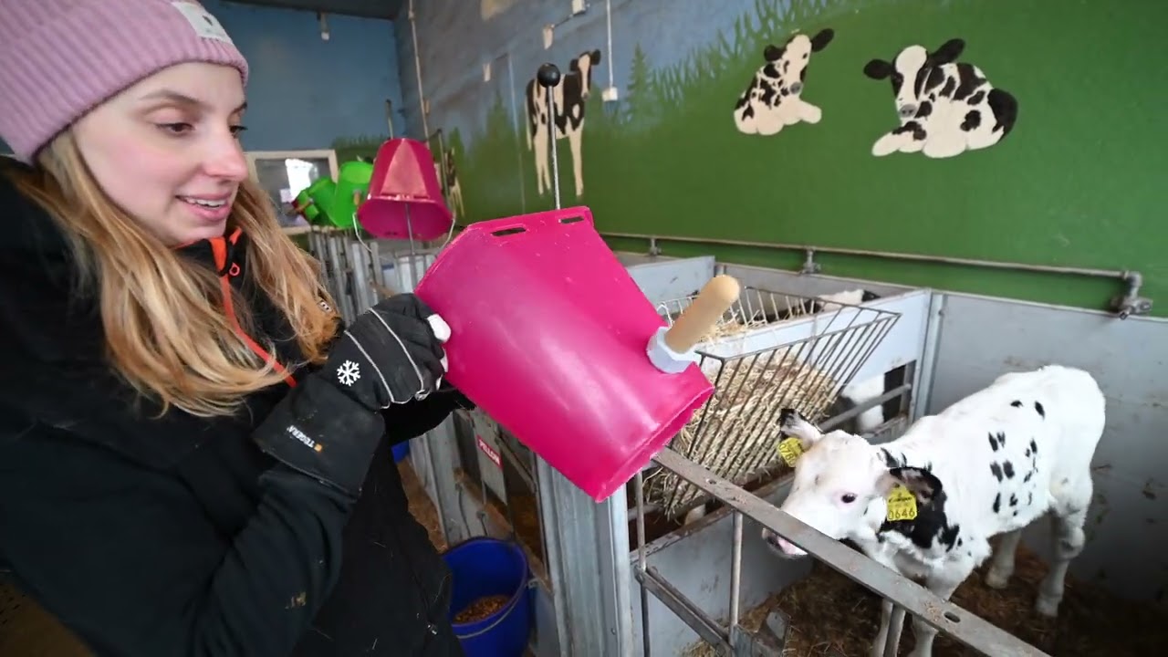 Maalaisjärki - maitotilallisen päivä