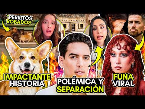 POLÉMICA BODA! UN TAL FREDO! LAS ALUCINES rompen!? CHAPPELL ROAN FUNADA! DUEÑO de OF fallece!