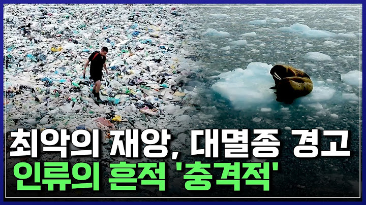 "새로운 시대 왔다" 최악의 재앙, 대멸종 경고! 충격적인 인류의 흔적 발견됐다 [반복재생] / YTN 사이언스