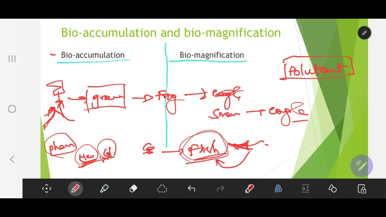 Basic General studies concepts- economy, geography, environment and polity