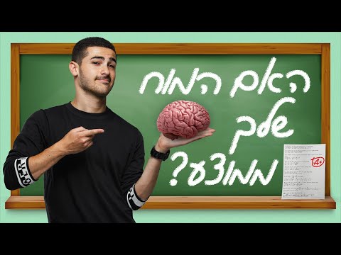 וִידֵאוֹ: האם פאנולה תהפוך את השיער שלי לסגול?