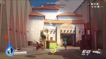 Nerf Reinhardt Flight Pls