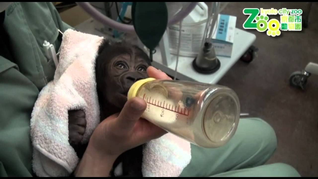 20111225 bottle feed