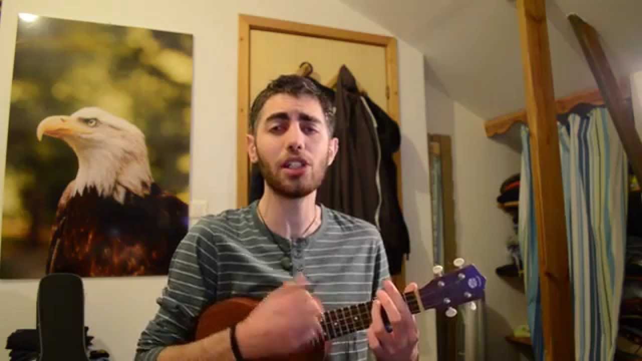 R U Mine? // Arctic Monkeys // Ukulele Cover By Roy Ungar