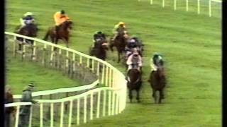 1992 Guinness Trophy Champion 4-y-o Hurdle