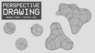 Perspective Drawing 21 - Organic Forms and Contour Lines