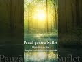 Lăsați-vă purtați de imagini feerice și de o coloană sonoră caldă, și permiteți-vă să luați o pauză