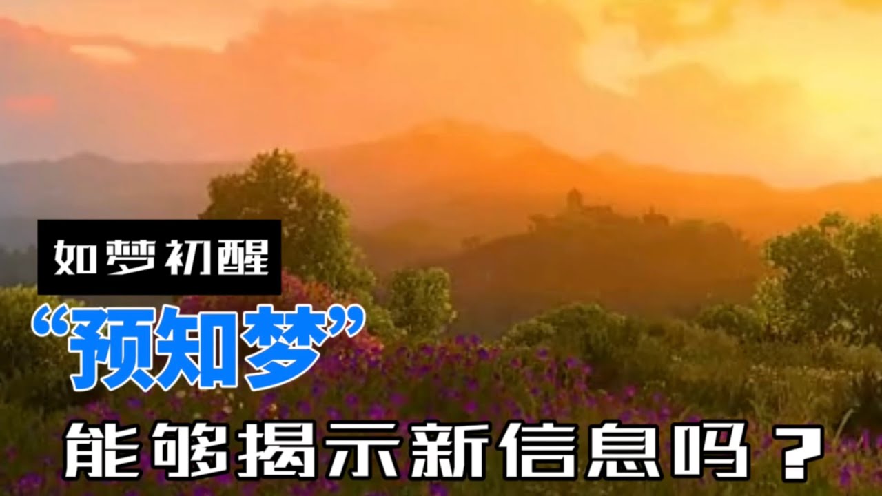 11-预知梦能揭示新信息吗？ ｜集体潜意识｜预知梦｜预测未来｜似曾相识｜记忆信息｜心灵感应｜千里眼｜预感研究｜意识反应｜皮层活动｜自由意志 ...