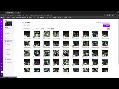 線上標註工具Roboflow：EP2. 上傳本地端模型實現自動化標註