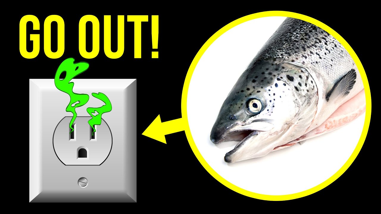 If You Smell a Fishy Odor, Get Out of Your House Immediately!