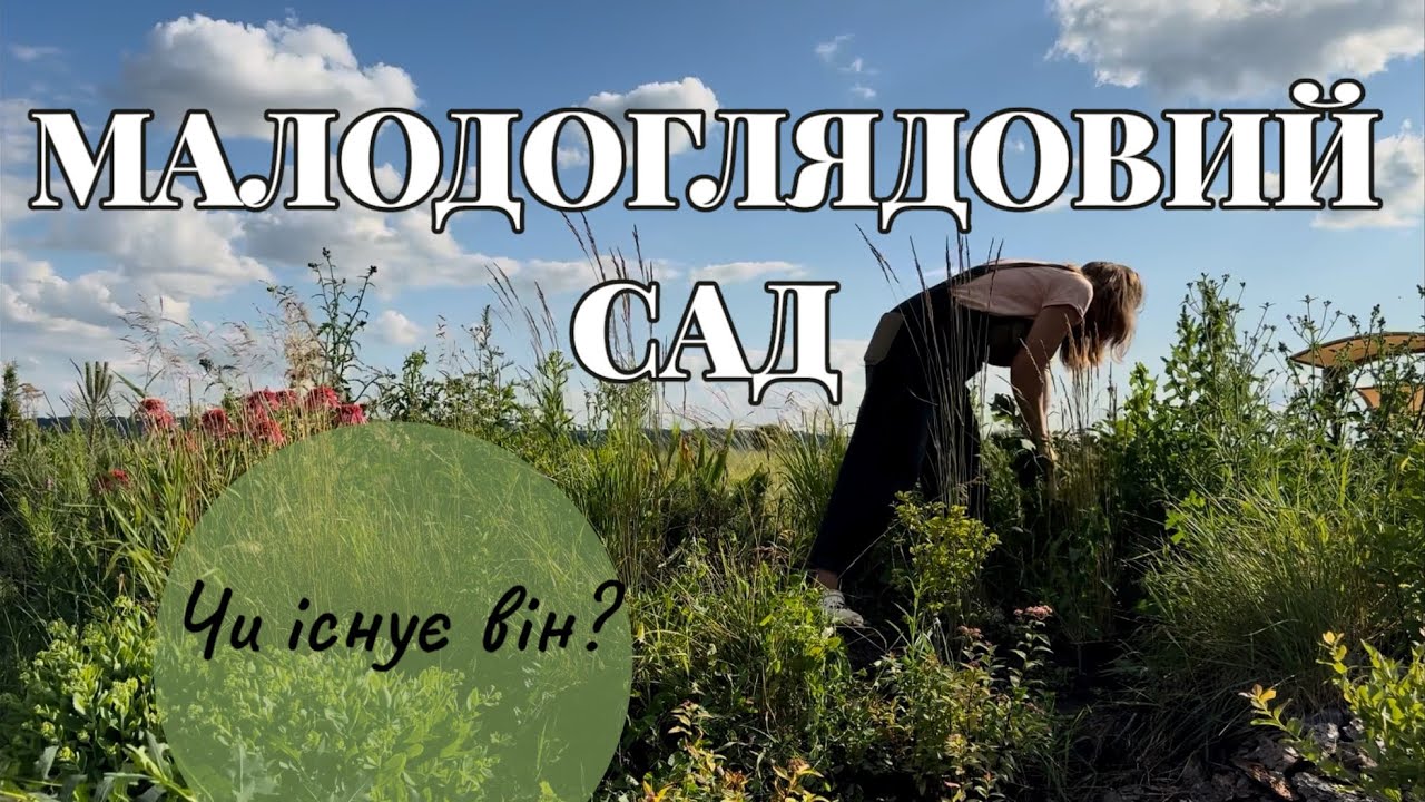 МАЛОДОГЛЯДОВИЙ САД БІЛЯ ВОДИ #реаліїсадівництва 