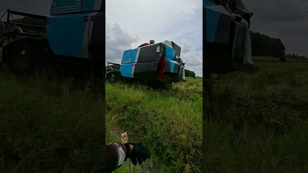 Mt2 seputih raman lampung timur