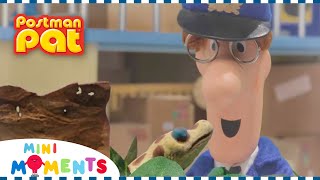 Meeras Pet Gecko Postman Pat 1 Hour Of Full Episodes Mini Moments