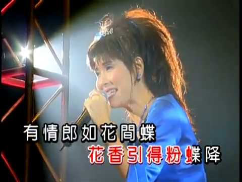 方伊琪丨花間蝶丨金曲滿天星演唱會