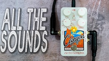 EHX Canyon // Delay & Looper | ALL THE SOUNDS [NO TALK / ONLY TONES] // with Secondary Functions