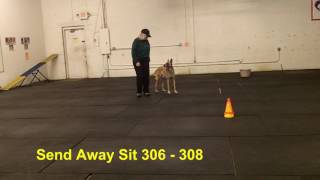 AKC Master #312, #319 (Right Spins) and Send Away Sit