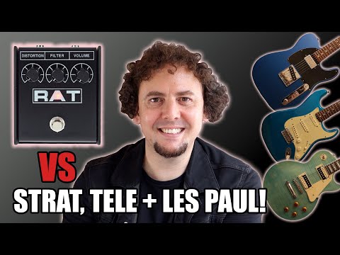 Vidéo: Quel genre de rat est 1984?