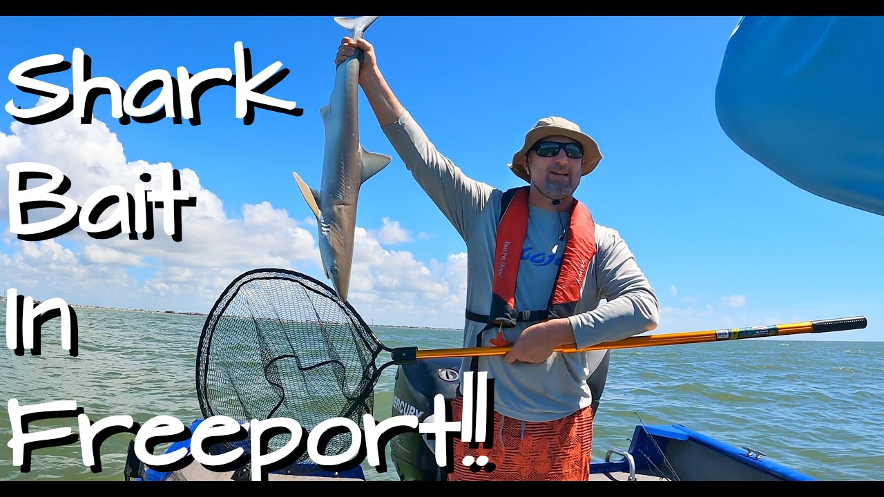 Shark Fishing in Freeport with TJ – Just Givin'er