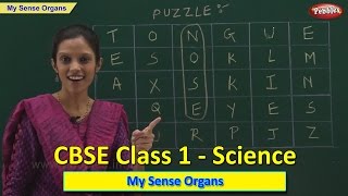 Sense Organs | Class 1 CBSE Science | Science Syllabus Live Videos | Video Training screenshot 3