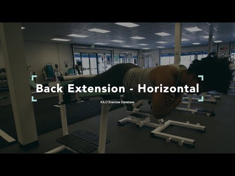 Back Extension - Horizontal | KILO Exercise Database