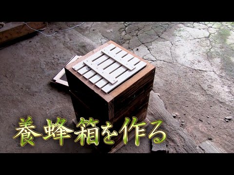【養蜂箱】初めての養蜂箱づくりと設置