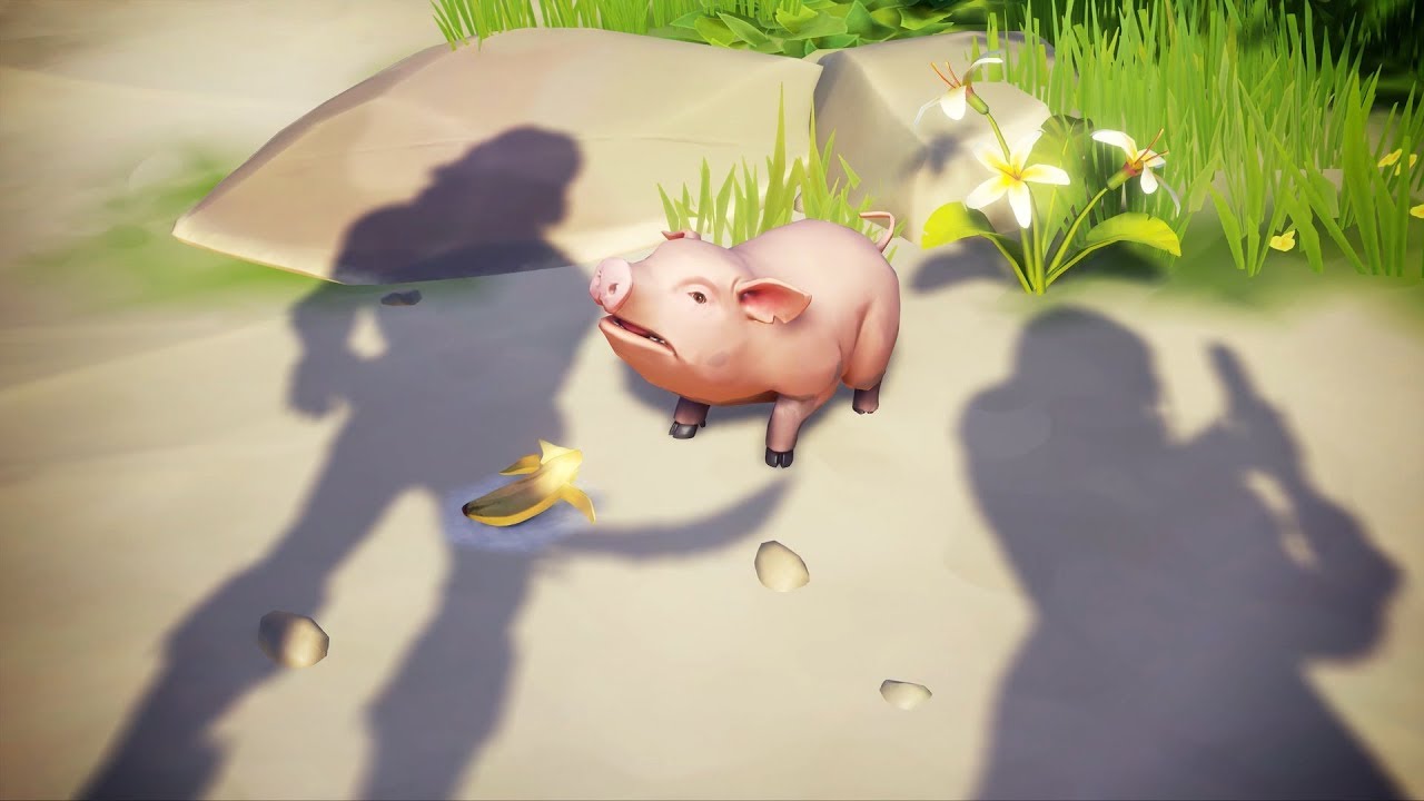 Кабан на море