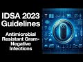 Idsa 2023 guidance on the treatment of antimicrobial resistant gramnegative infections