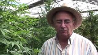 el gran Joseph Pamies explicando que es la marihuana y para que nos sirve