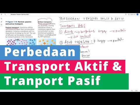 Video: Apakah transpor termediasi aktif atau pasif?