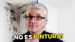 ✅ MOHO en Paredes: La solución real que los vendedores no te cuentan