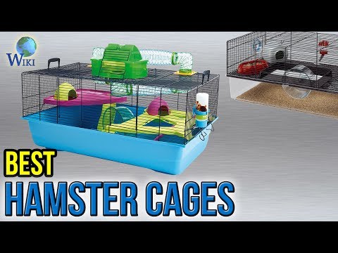 7-best-hamster-cages-2017