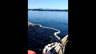 West coast herring fishing