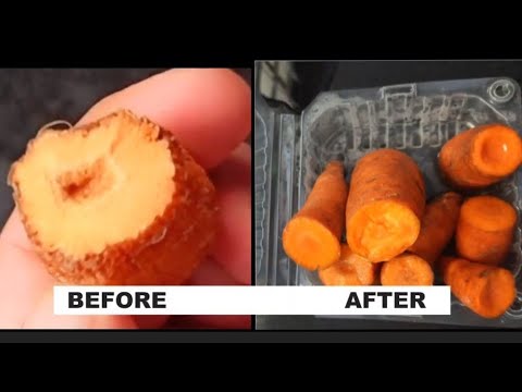 Dry Carrot restoration overnight