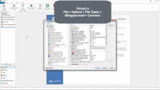 Studio 2015 - Excel multilingv