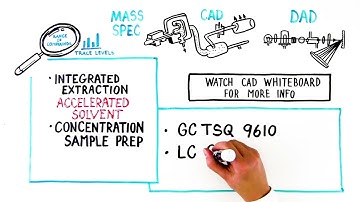 Extractables and Leachables: Challenges and Solutions