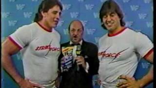 Hostess Chips WWF Stickers 1988 screenshot 5