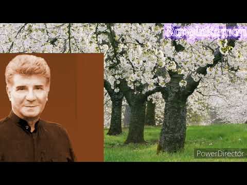 نادر گلچین بوی بهار
