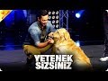 Murat Boz, Vogi'ye Söz Geçiremedi! | Yetenek Sizsiniz Türkiye