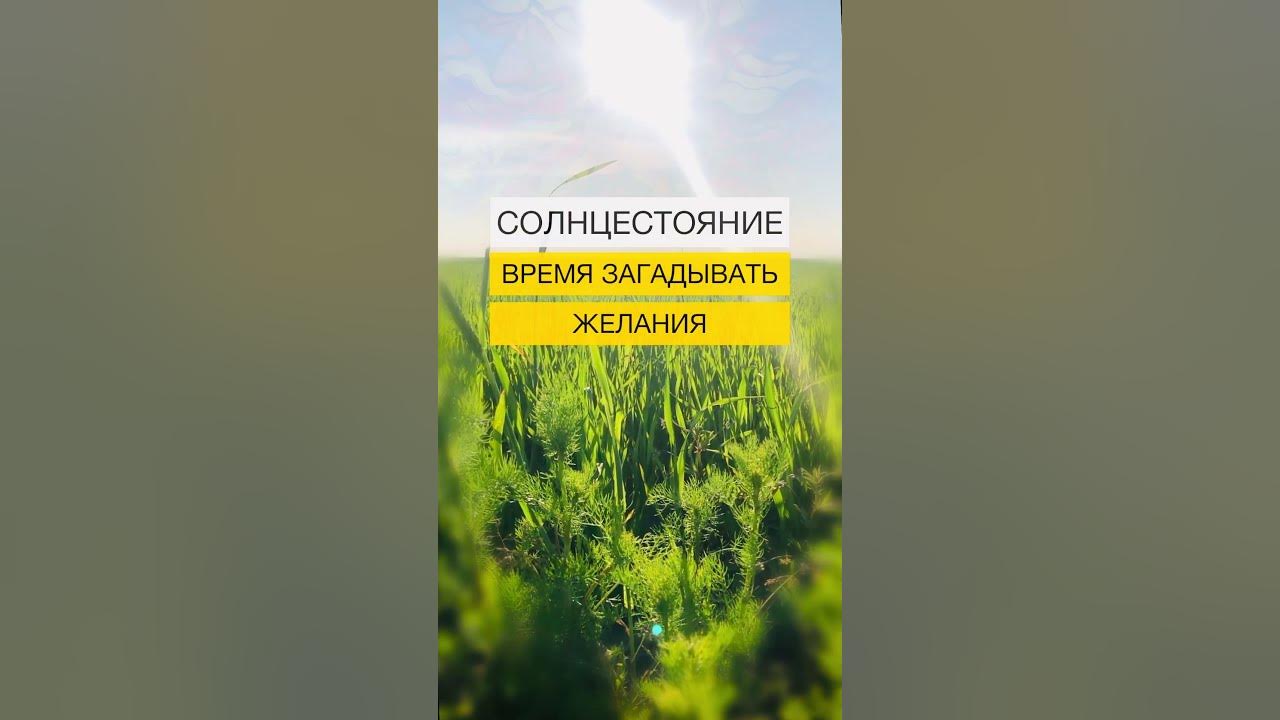 Летнее Солнцестояние. Время загадывать желания💫| Нейрографика с Оксаной ...