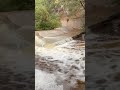 Flooded Waterhole by Gould Mesa Campground #sangabrielmountains #angelesnationalforest #rainstorm