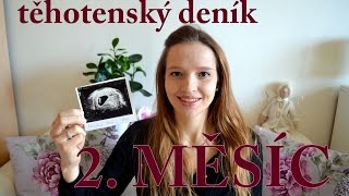 2. měsíc těhotenství | Mimi&já