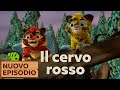 Leo e tig italia  cartone animato per bambini  il cervo rosso episodio 6